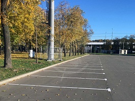 Лужники