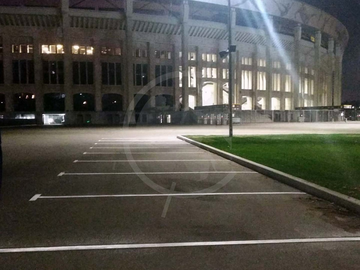 Лужники