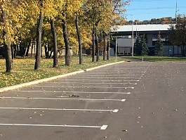 Лужники