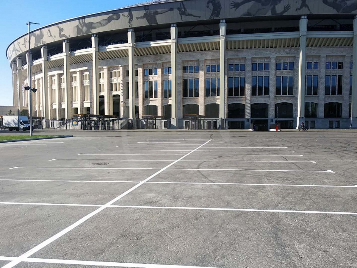 Лужники