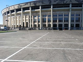 Лужники